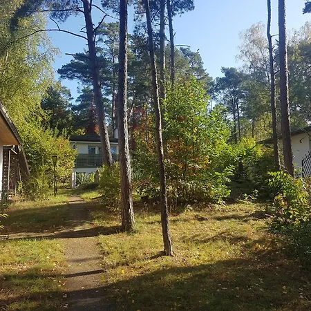 Ferienhaus Meisenheim Heidesee